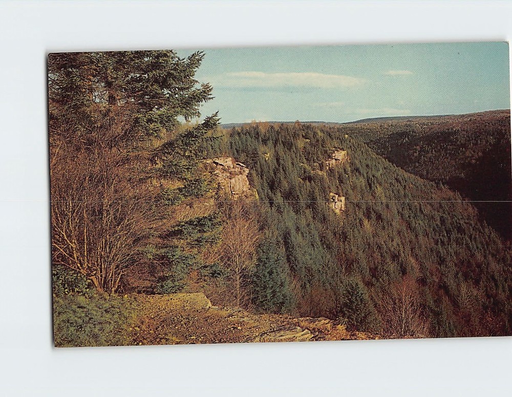 Postcard Blackwater Canyon Blackwater Falls State Park Davis West Virginia USA