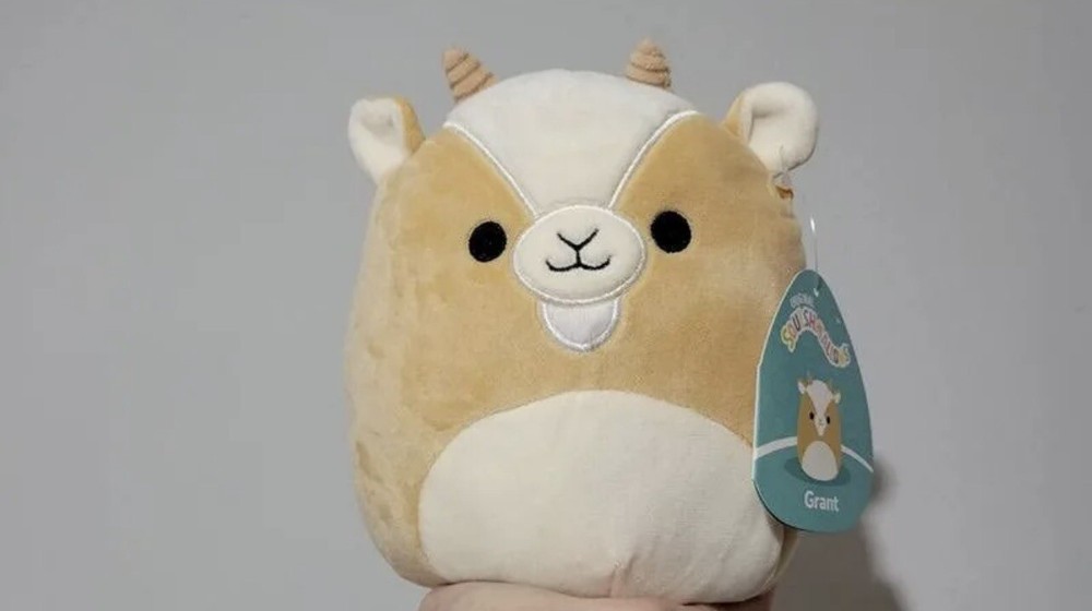 Squishmallows 8
