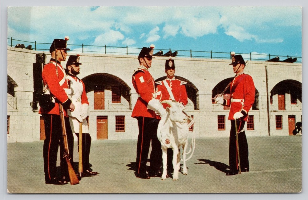 Old Fort Henry Guard Kingston Ontario Canada Mirro-Krome Postcard Goat David