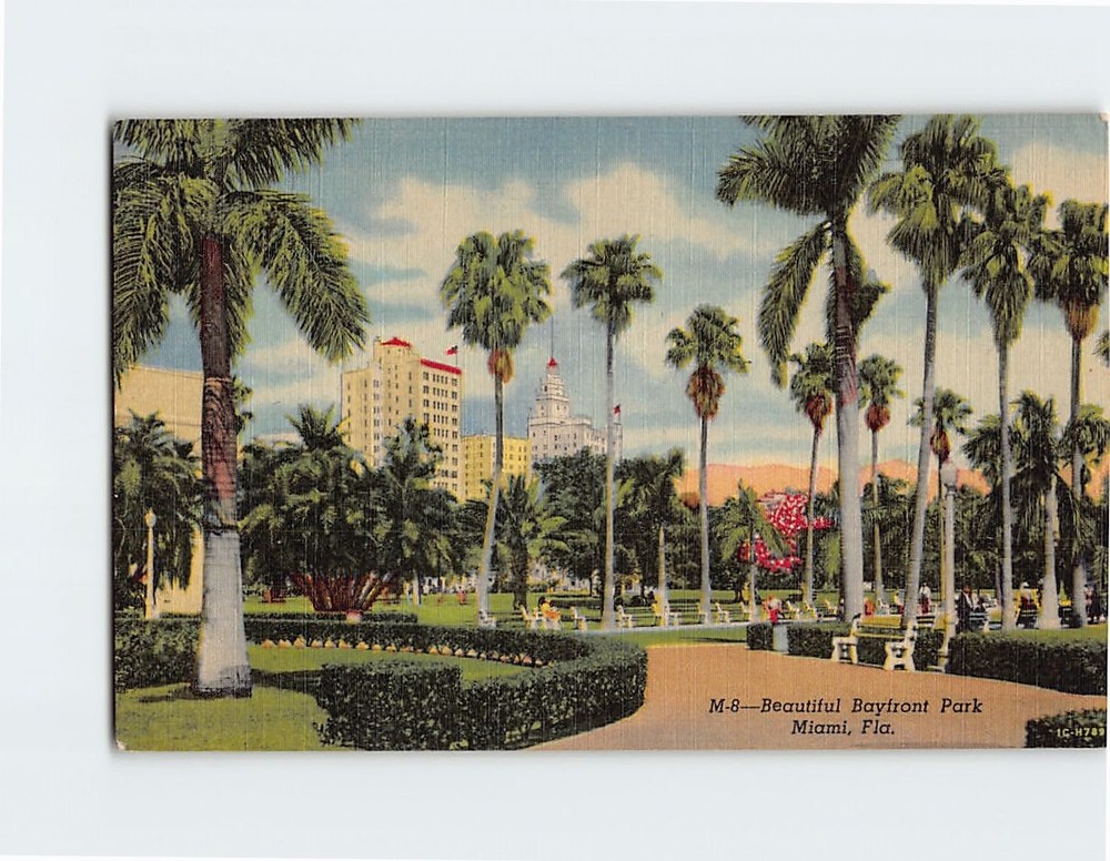 Postcard Beautiful Bayfront Park Miami Florida USA