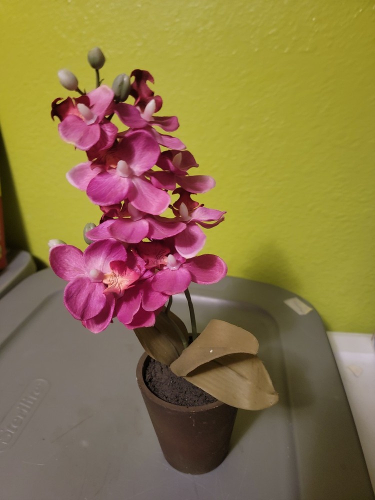 Artificial Pink Orchid Floral Arrangement in Plastic Flower Pot Houseplant