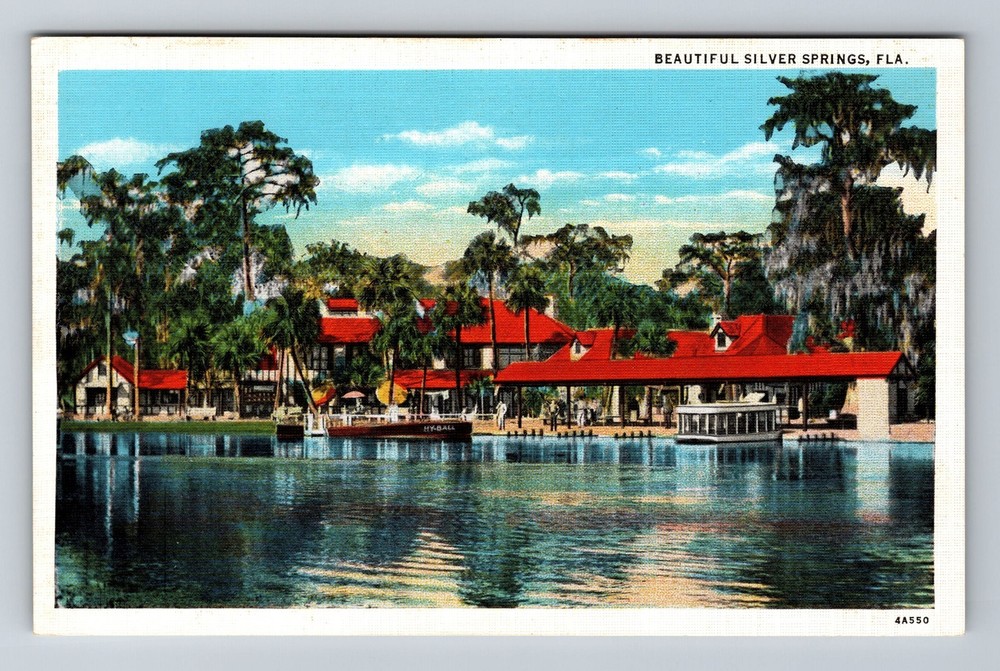 Silver Springs FL-Florida Scenic View Of Town Area Vintage Postcard Standard PC
