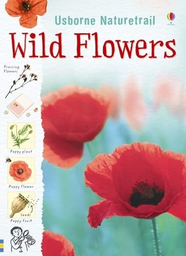 Wild Flowers (Nature Trail) by Khan, Sarah Paperback / softback Book The FastFREE US DELIVERY | ISBN: 074608403X | Quality Books