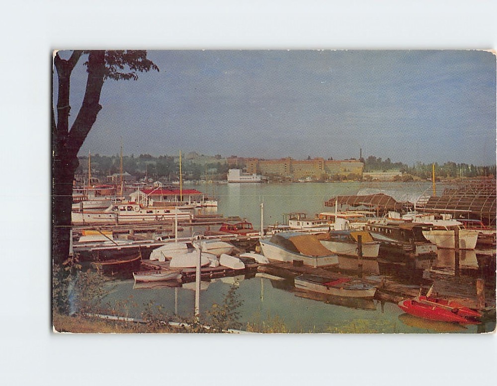 Postcard Seattle Yacht Harbor Seattle Washington USA