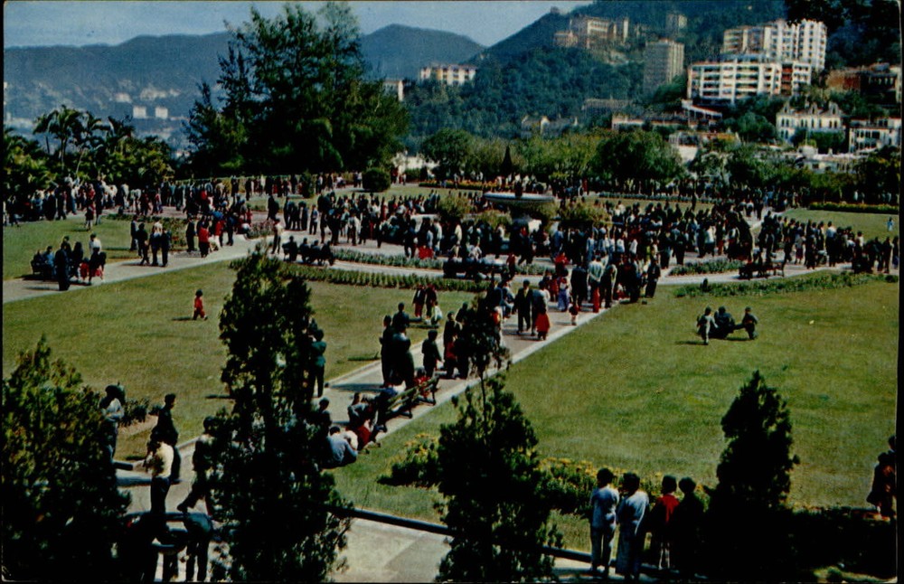 Hong Kong Botanical Garden aerial view unused vintage 1950s postcard