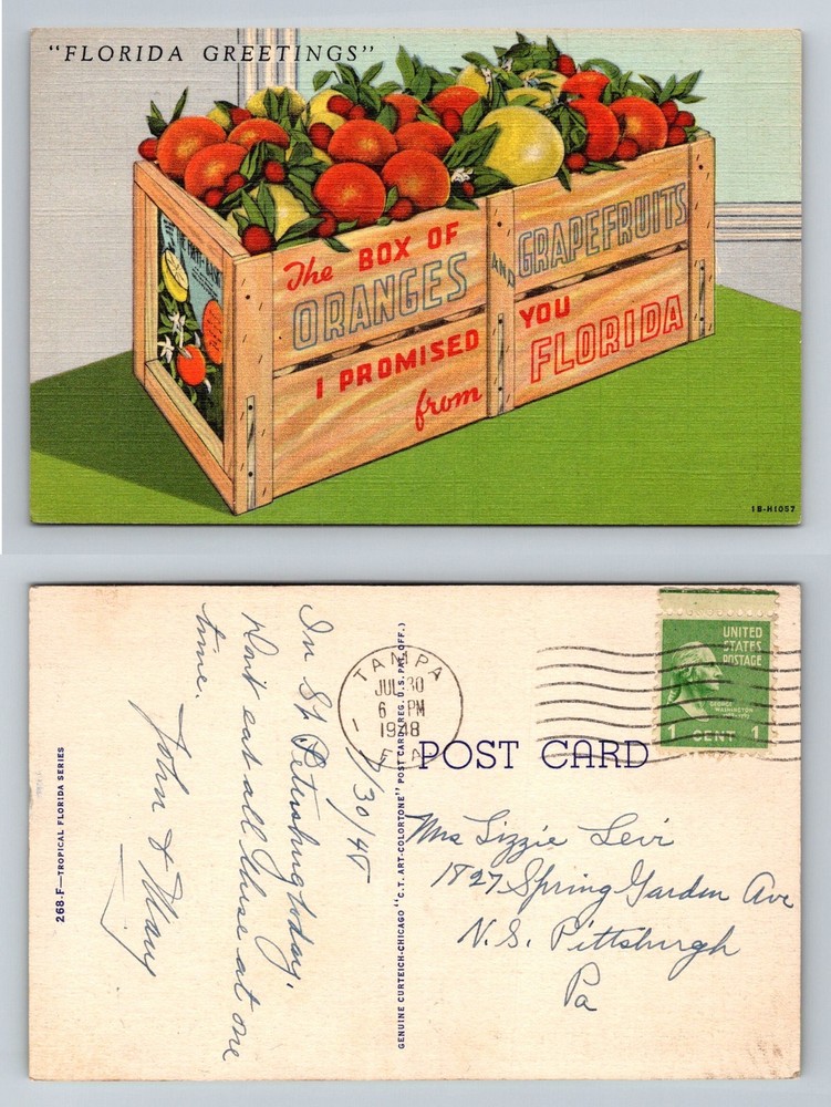 Tampa, FL-Florida, Crate of Oranges Grapefruits Greetings Vintage c1948 Postcard