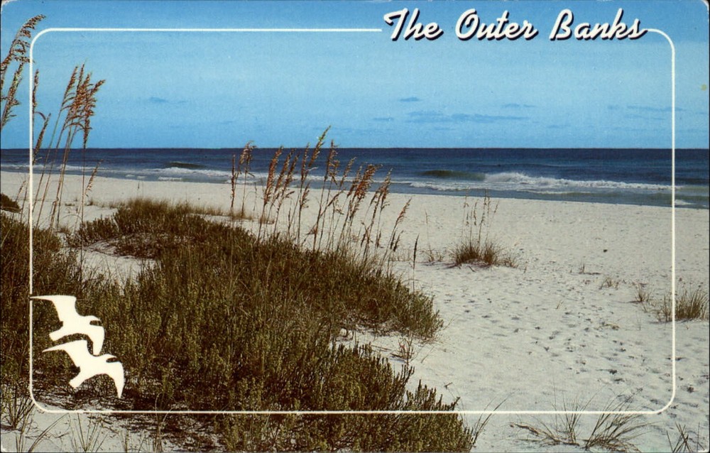 Outer Banks North Carolina Sea Oats sand dune ocean vintage postcard sku245
