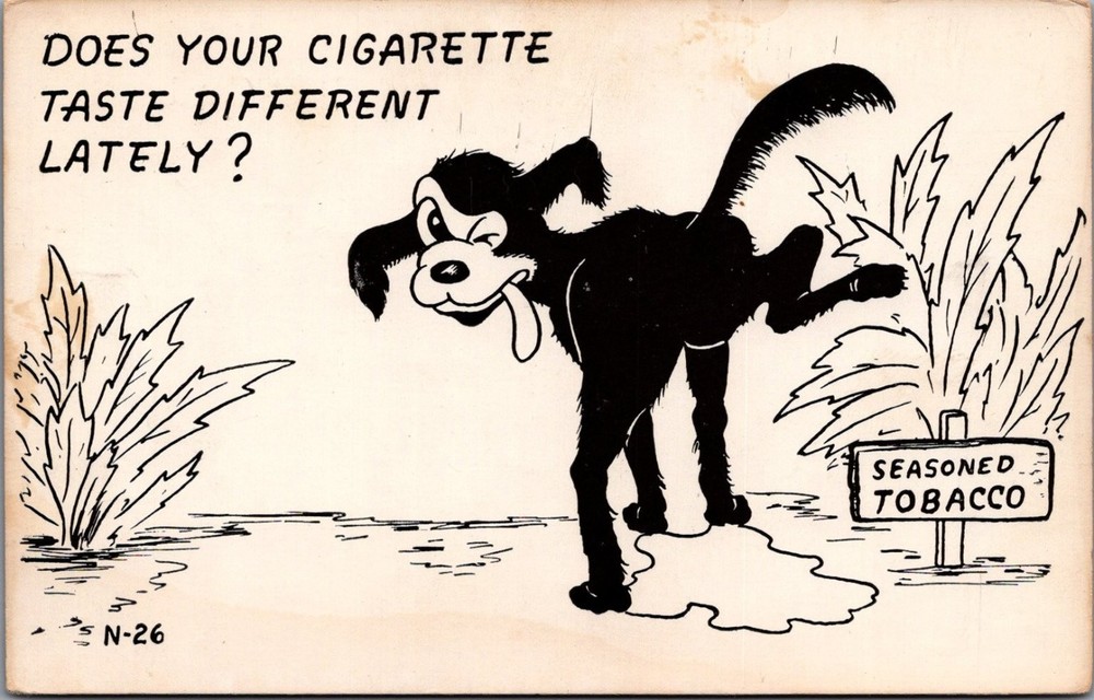 Vintage Risque Humor Postcard - Dog 