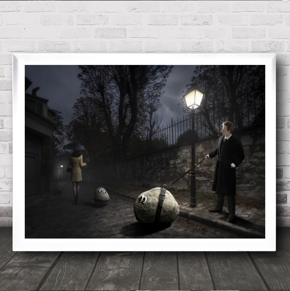 Rocks Have Feelings Too Stones Leashes Paris Street Wall Art Print