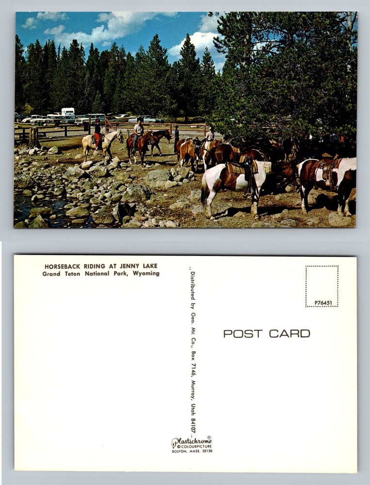 Grand Teton, WY-Wyoming, Horseback Riding Jenny Lake Vintage Postcard