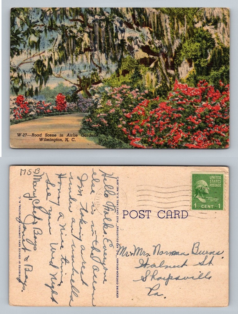 Wilmington, NC-North Carolina, Airlie Gardens Moss Scene c1947 Vintage Postcard