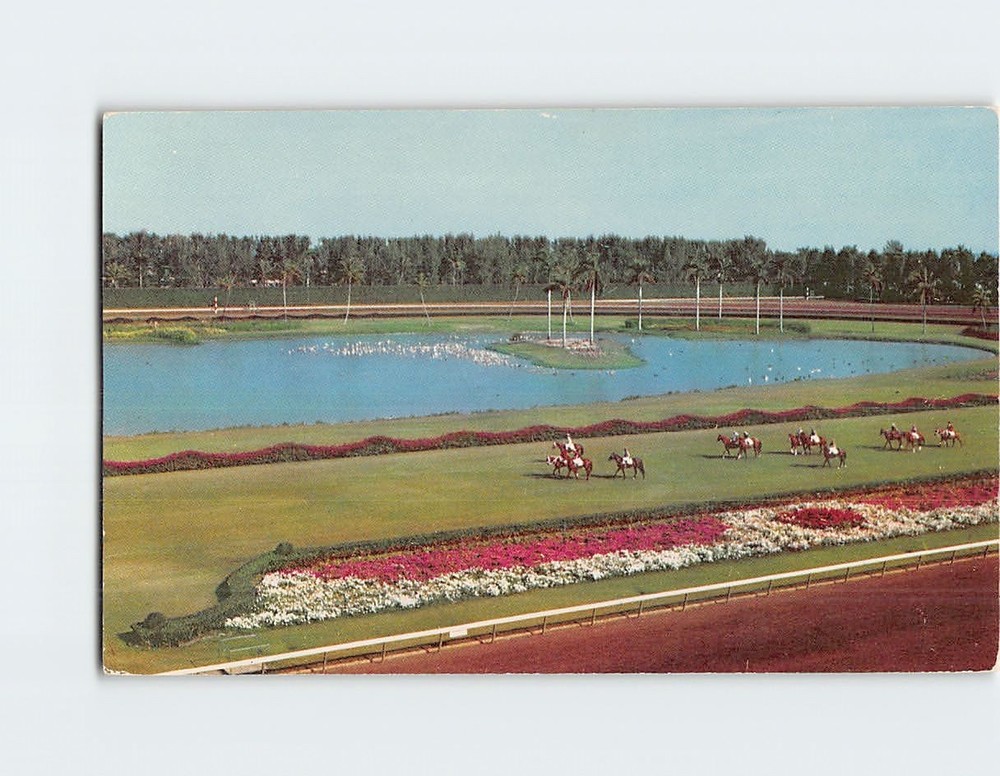 Postcard Parading to the Post on the Turf Hialeah Race Course Florida USA
