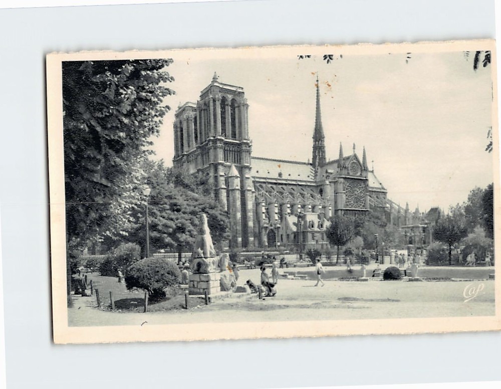 Postcard Notre Dame vue du Square Viviani Paris France