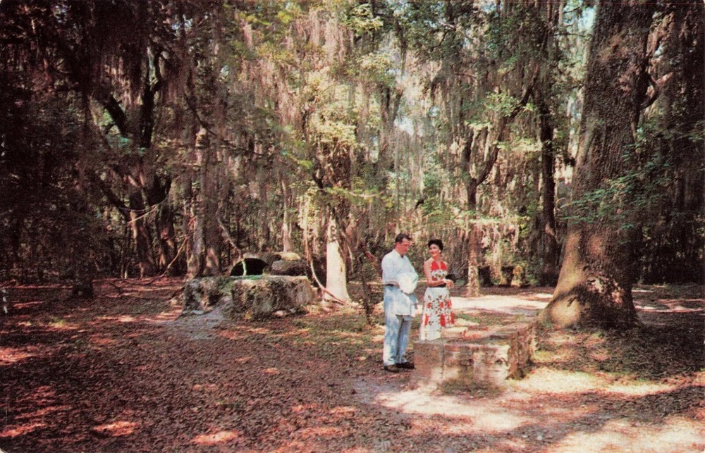 Burying Ground - Fort Frederica - St Simons Island Georgia GA - Postcard