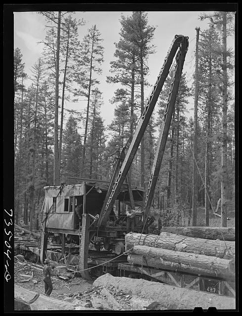 Grant County Oregon Malheur National Forest 1942 Logs Loading Onto Flatcar