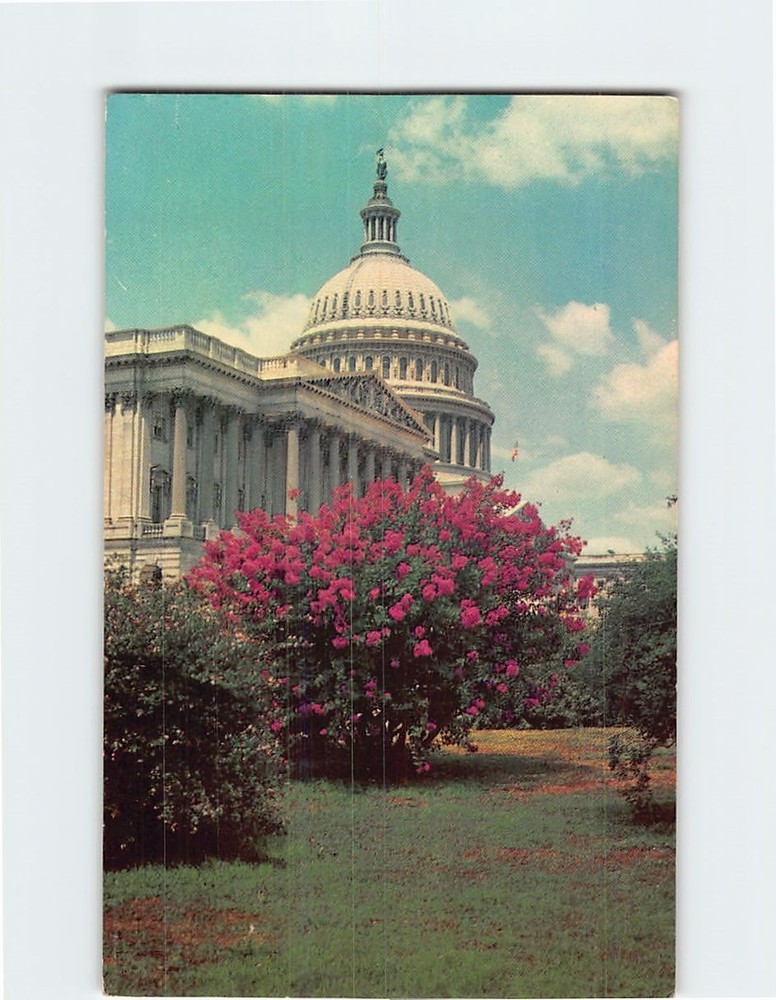 Postcard United States Capitol Washington DC District of Columbia USA America