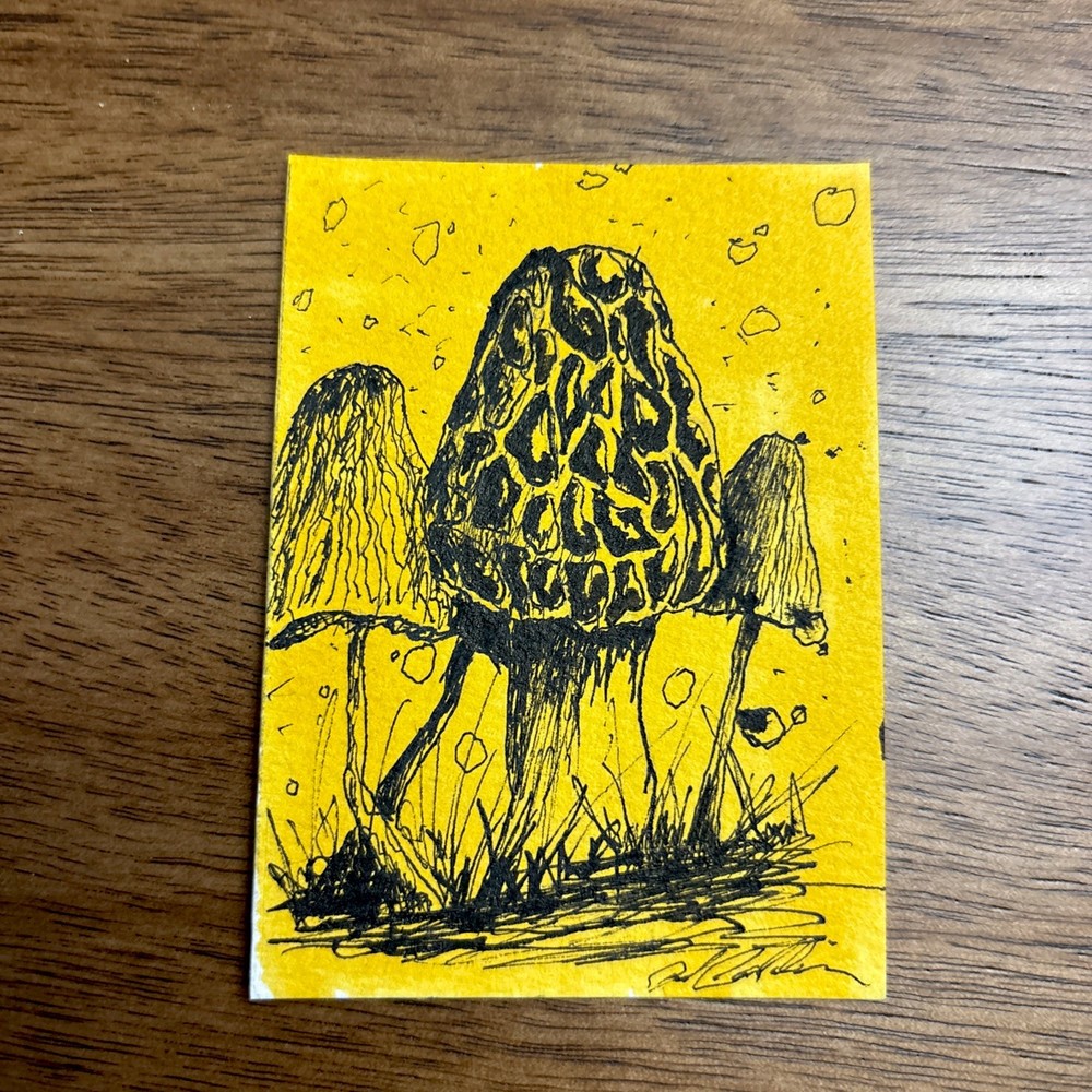 ACEO Original Watercolor and Ink Painting Mushroom series 4 of 4 Mini Art