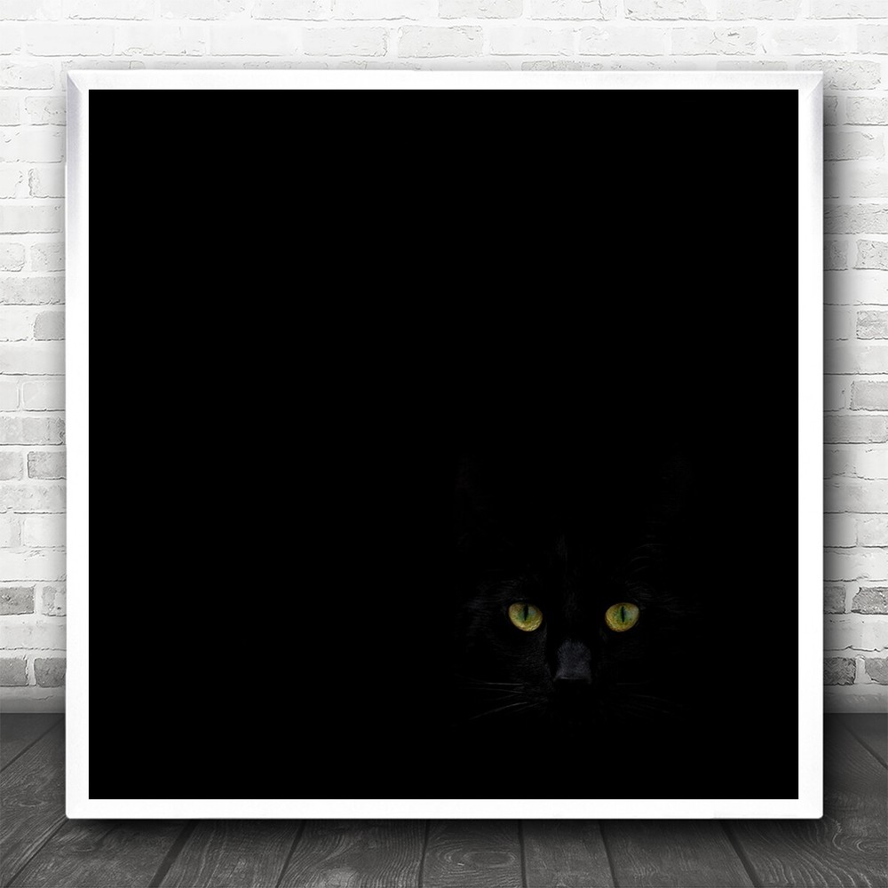 Cat Dark Eyes Night Low-Key Pet Animal Animals Yellow Simple Square Print