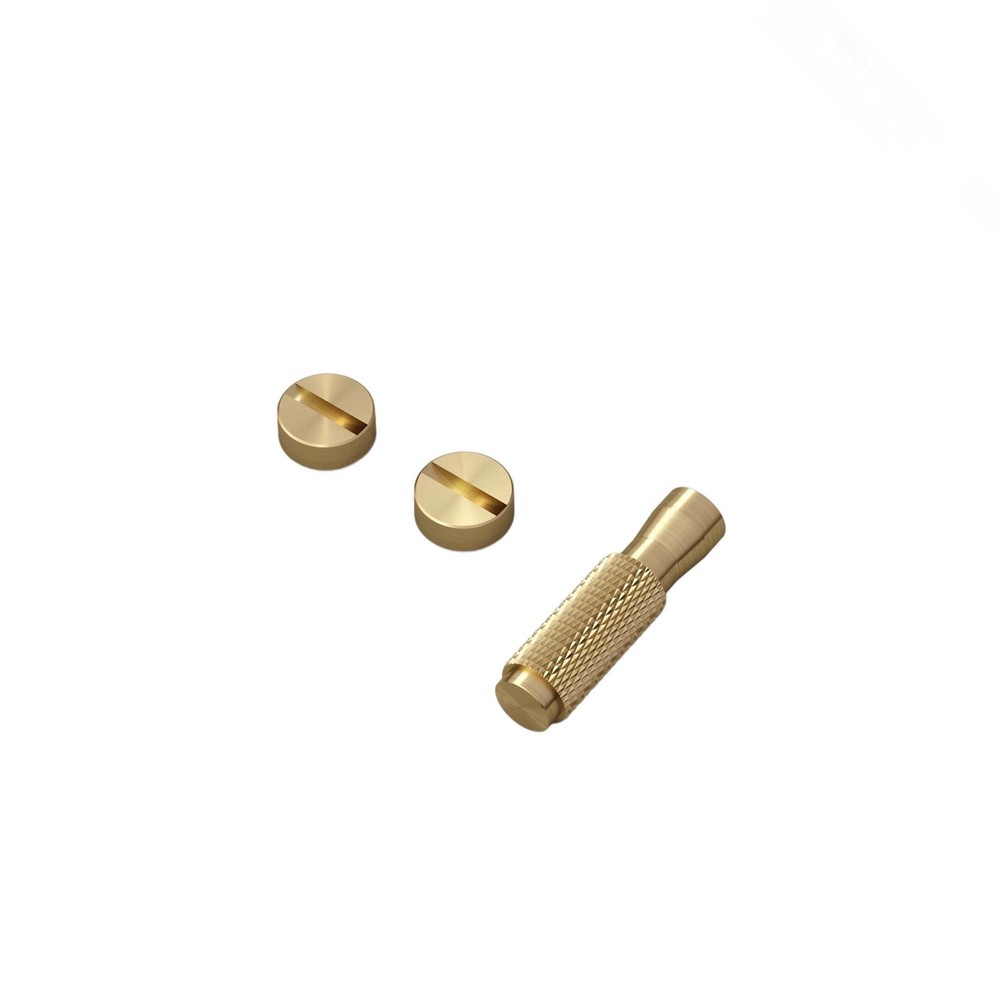 Buster + Punch NTK-02324 US Electricity Toggle Switch Detail - Brass