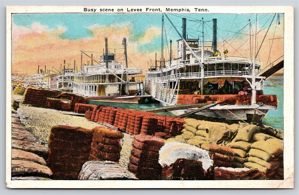 Memphis Tennessee~Busy Scene On Levee Front~Vintage Postcard