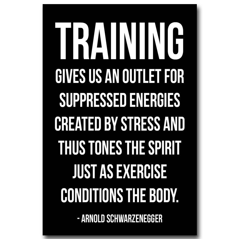 Arnold Schwarzenegger Fitness Motivational Quote Wall Art Poster US