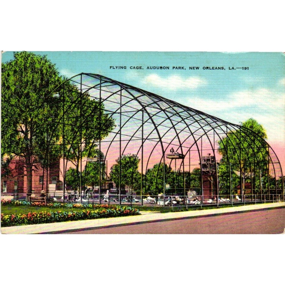 Vintage Flying Cage Audubon Park New Orleans LA Postcard Linen E.C. Kropp 191