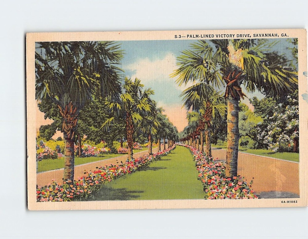 Postcard Palm Lined Victory Drive Savannah Georgia USA
