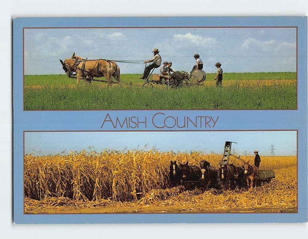 Postcard Farming Scene The Amish Country