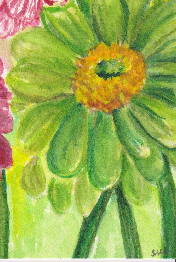 Original ACEO Lime Green Zinnia Watercolor Painting, Sharon Foster