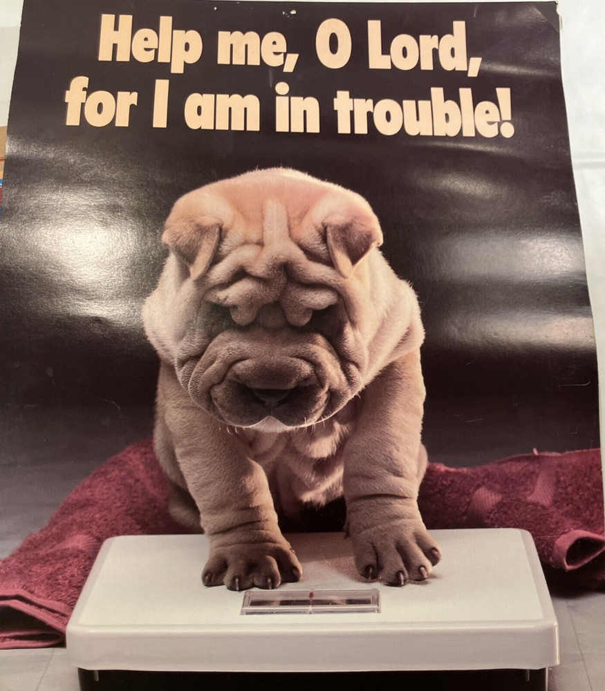 USA 2 Vintage 1980's  Pug Dog on Scale Unicorn Mountain poster 19