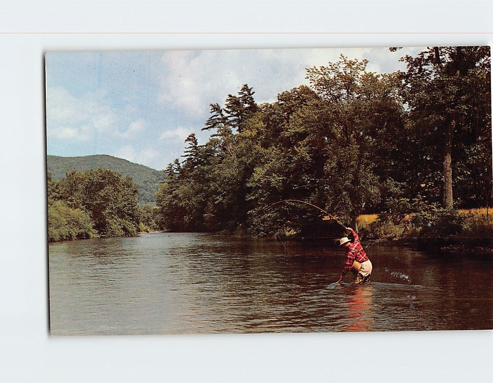 Postcard Finally Hooked Him !