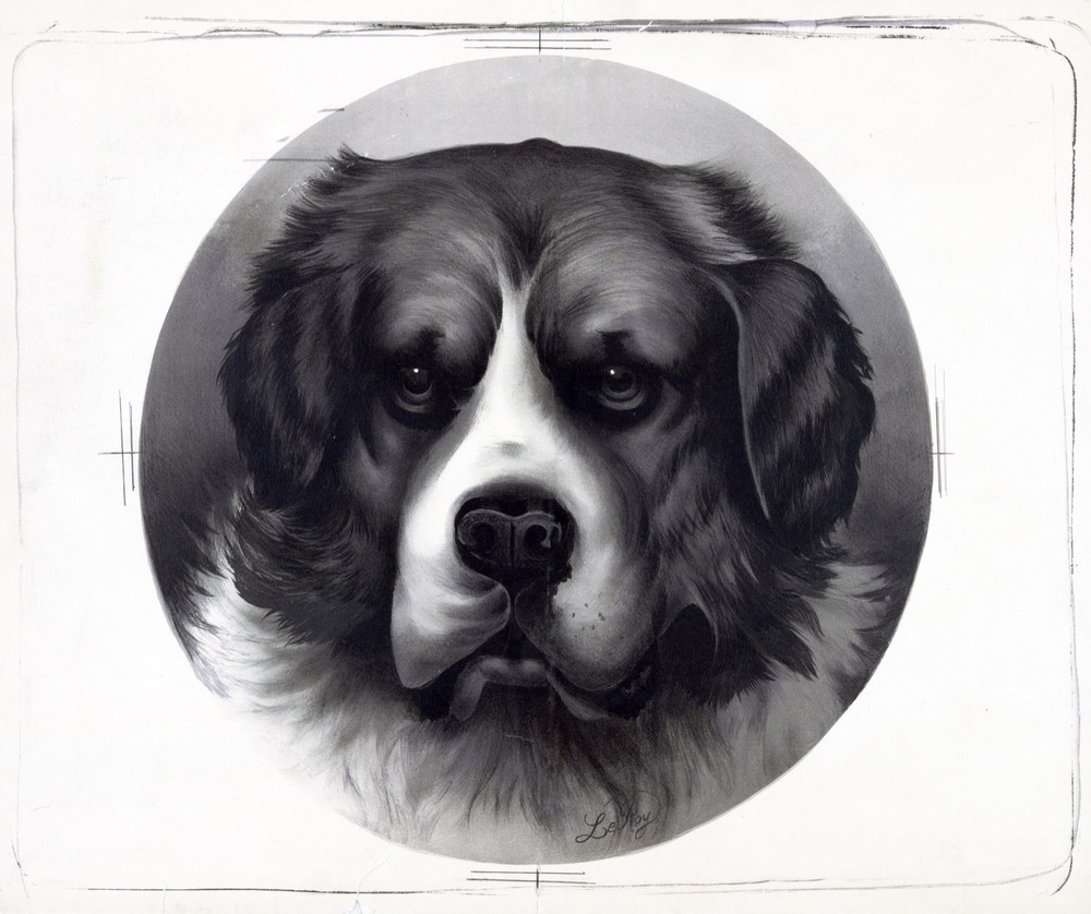 9439.Decoration Poster.Room interior design wall art.Portrait drawing Pet Dog