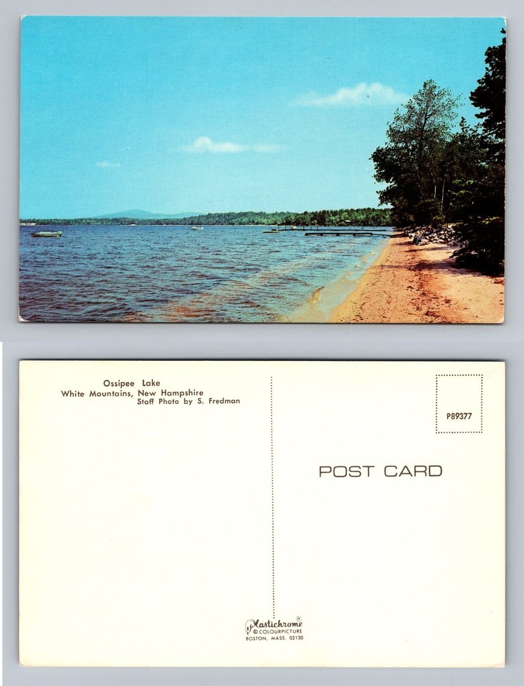 White Mountains, NH-New Hampshire, Ossipee Lake Shoreline View Vintage Postcard