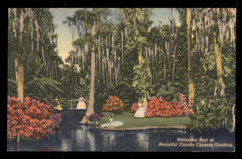 Reflection Pool At Florida Cypress Gardens FL Linen Postcard Unp