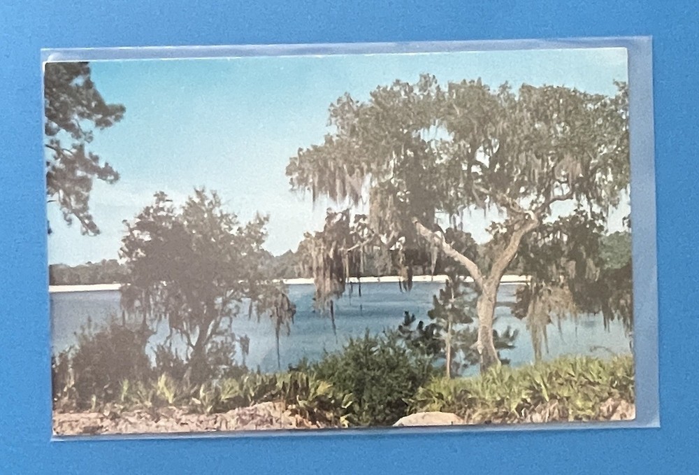 Georgia Crystal Lake Beach Ashburn Fitzgerald Ocilla Tifton Vintage Postcard