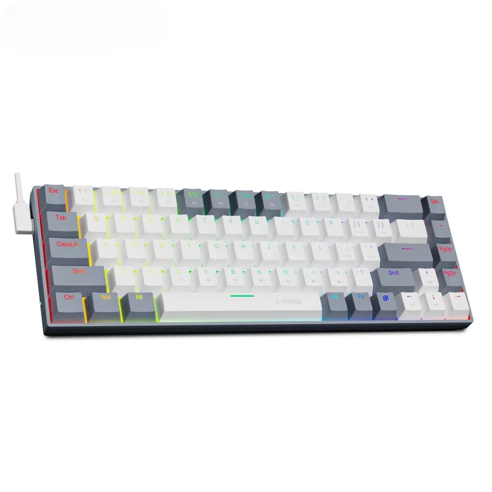 RGB Backlit 60% Mini Slim USB Mechanical Gaming Wired Keyboard with Red Switch 68 Keys Russian Layout Compact Design for Gamers