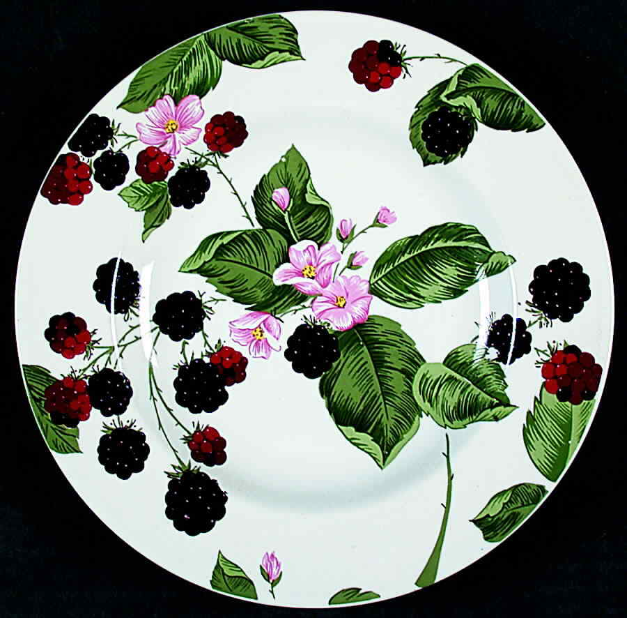 Tienshan Raspberry Social Salad Plate 893825