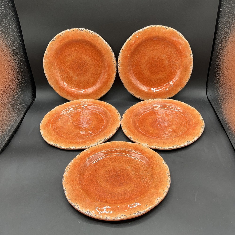 Set 5 Pier 1 Carmelo Crackle Rustic Orange & Melamine Dinner Plates 9”
