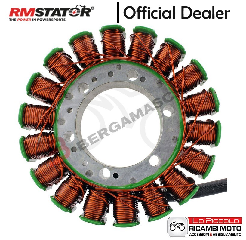 Yamaha FJR 1300 2012-2013 Rmstator Alternator Stator Magnet