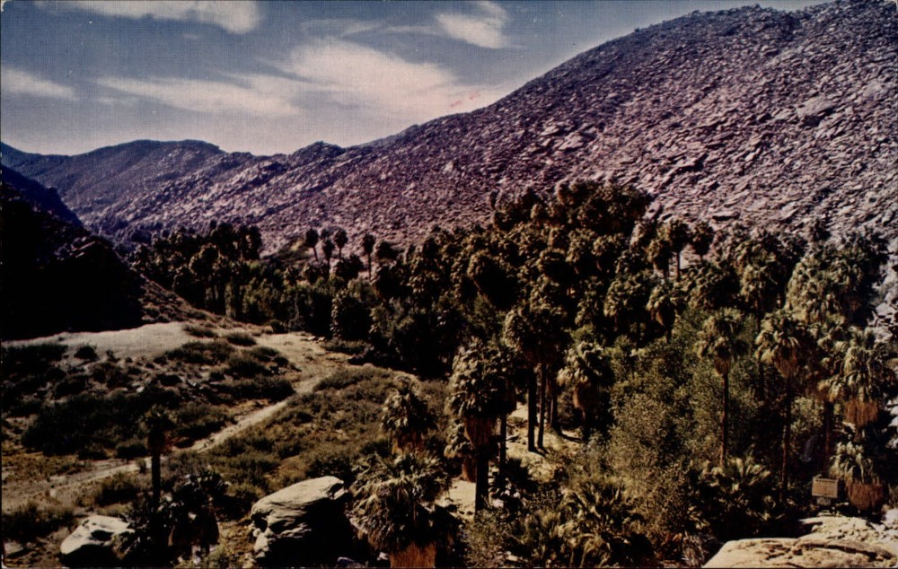 Palm Springs California canyon aerial ~ Mike Roberts ~ 1950s unused postcard