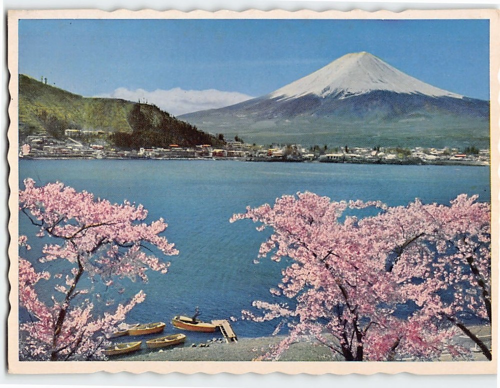 Postcard View of Mt. Fuji & Cherry Blossoms Japan