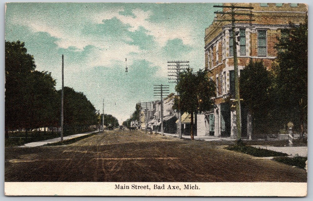c1910s Main Street Bad Axe Michigan Dirt Road City View VINTAGE Postcard