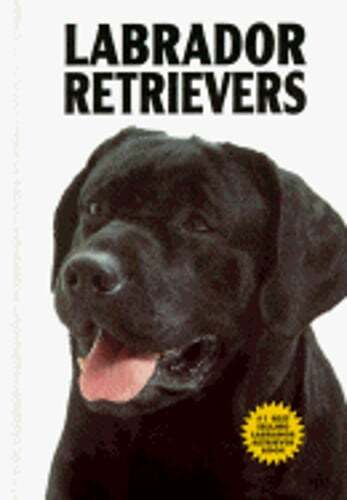 Labrador Retrievers by Diane McCarty: Used
