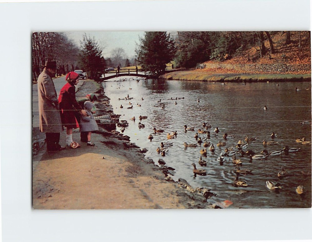 Postcard Forest Park Porter Lake Springfield Massachusetts USA