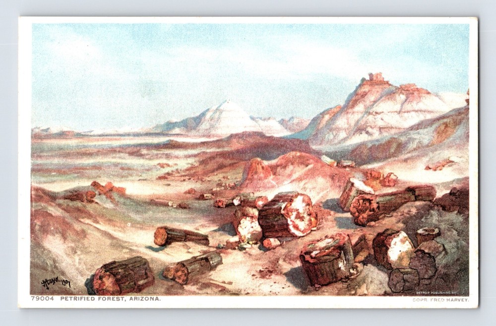 Postcard Arizona AZ Petrified Forest Fred Harvey 1930s Unposted White Border