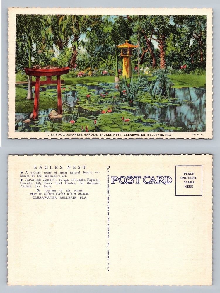 Clearwater, FL-Florida, Japanese Garden Lily Pool PC, Vintage Postcard