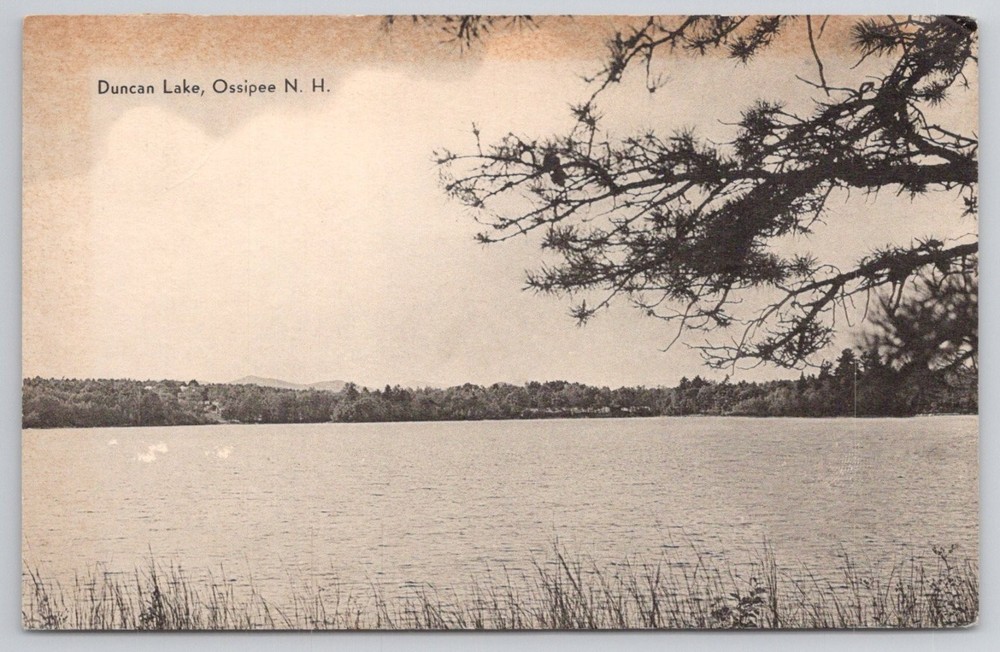 Duncan Lake Ossipee NH 1950 Postcard - Meriden Gravure Co. New Hampshire