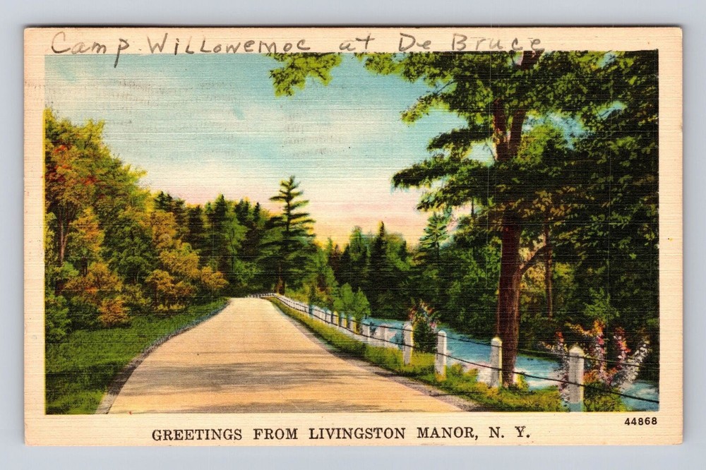 Livingston Manor NY-New York, Greetings, Roadway, Vintage c1949 Postcard