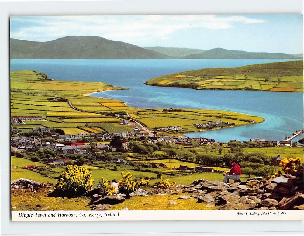 Postcard Dingle Town and Harbour Dingle Ireland
