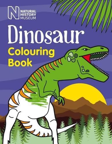 Dinosaur Colouring Book (Paperback)Another great item from Rarewaves USA | Free delivery!